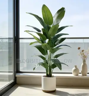 Faux Banana Plant Available in 160cm and 180cm
