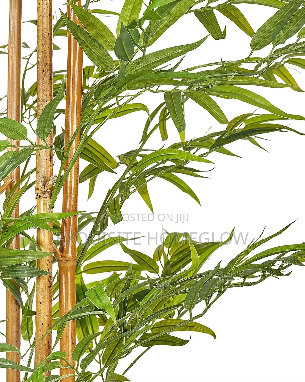 Artificial Bamboo Plant Available in 160cm Tall