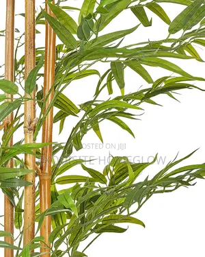 Artificial Bamboo Plant Available in 160cm Tall