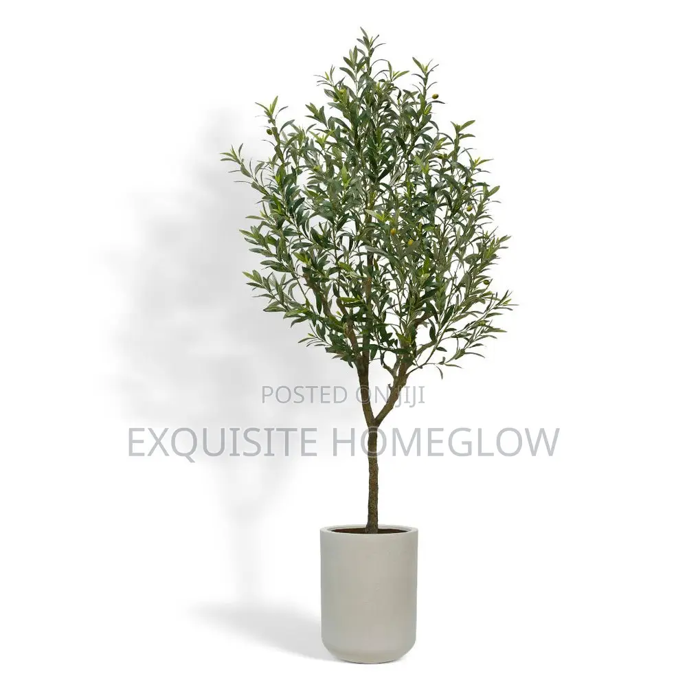 Artificial Olive Plant in 160cm Tall