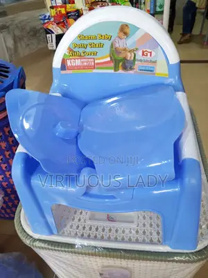 Kids Potty Training Ladders and Seats