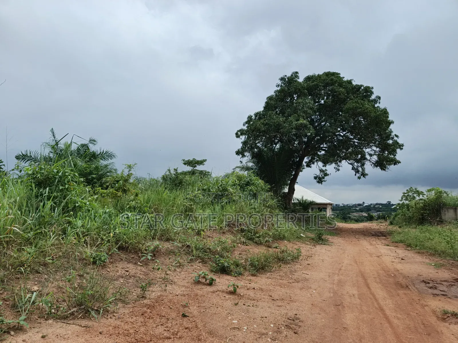 2 Plots for Sale at Wadie Adwumakaase ( Near Mampongteng,Bosore,Saman