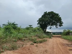 2 Plots for Sale at Wadie Adwumakaase ( Near Mampongteng,Bosore,Saman