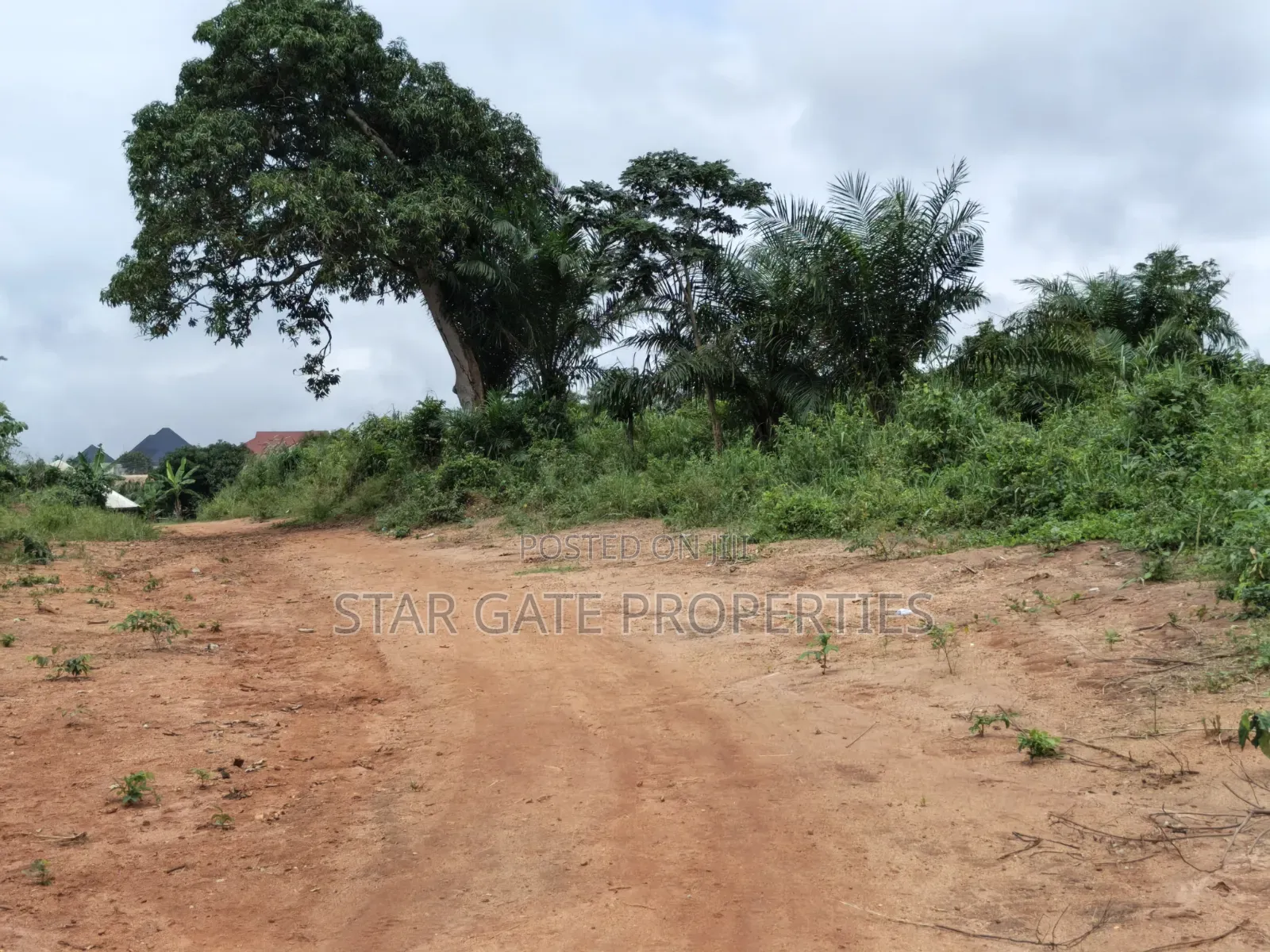 2 Plots for Sale at Wadie Adwumakaase ( Near Mampongteng,Bosore,Saman