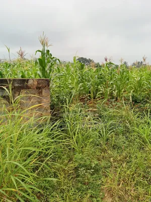 Quarter Plot of Land at Dodowa