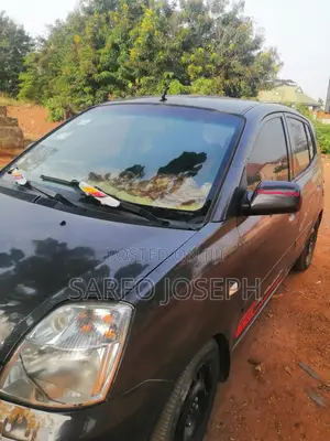 Kia Picanto 2010 Gray