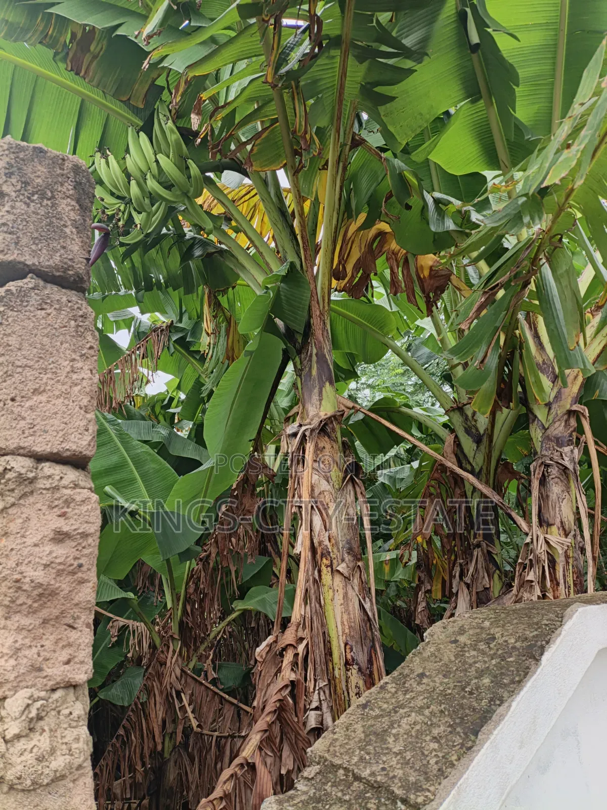 One Plot of Land for Sale at Pokuase Ayawaso