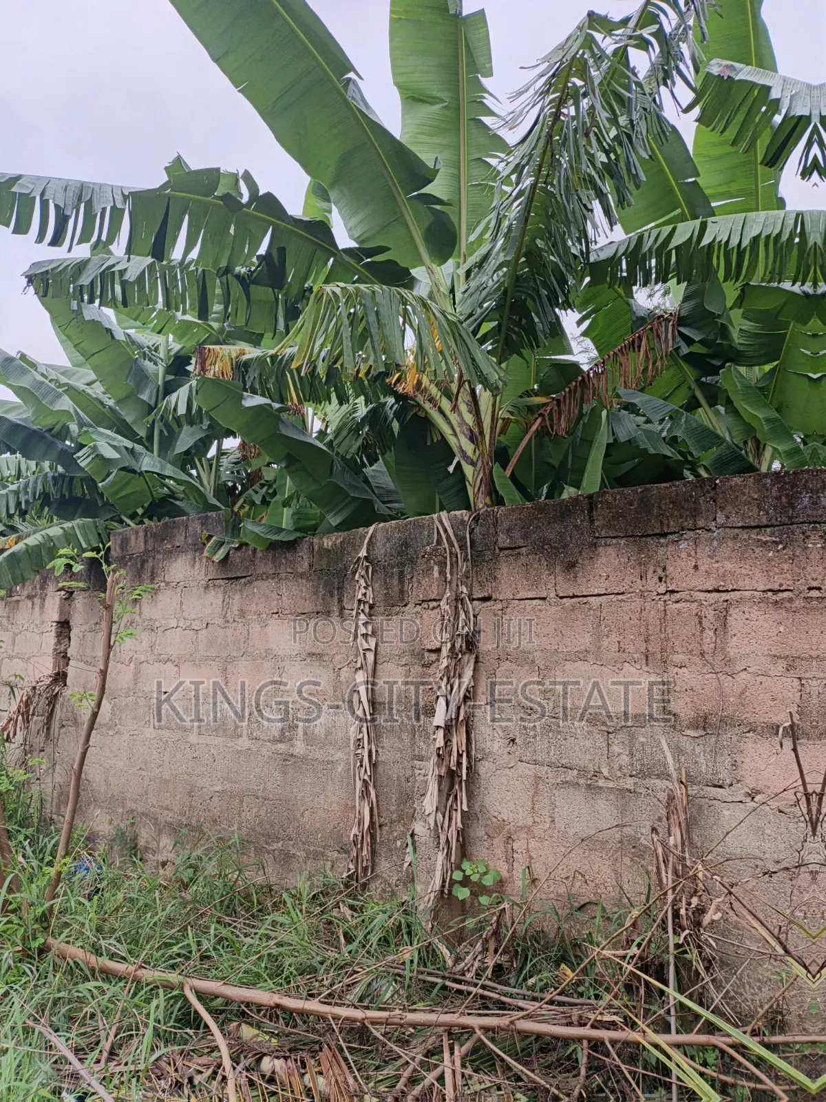 One Plot of Land for Sale at Pokuase Ayawaso