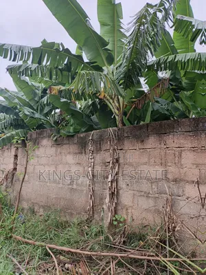 One Plot of Land for Sale at Pokuase Ayawaso