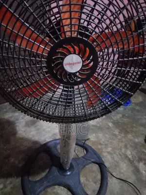 Standing Fan