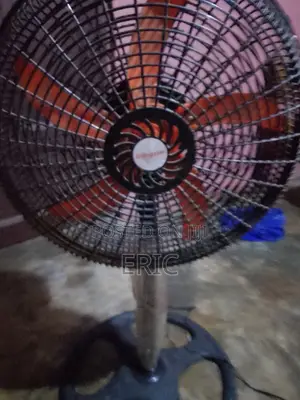 Standing Fan