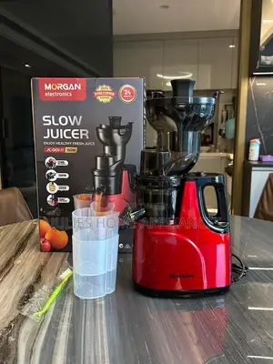 German Slow Juicer Pure Copper Motor