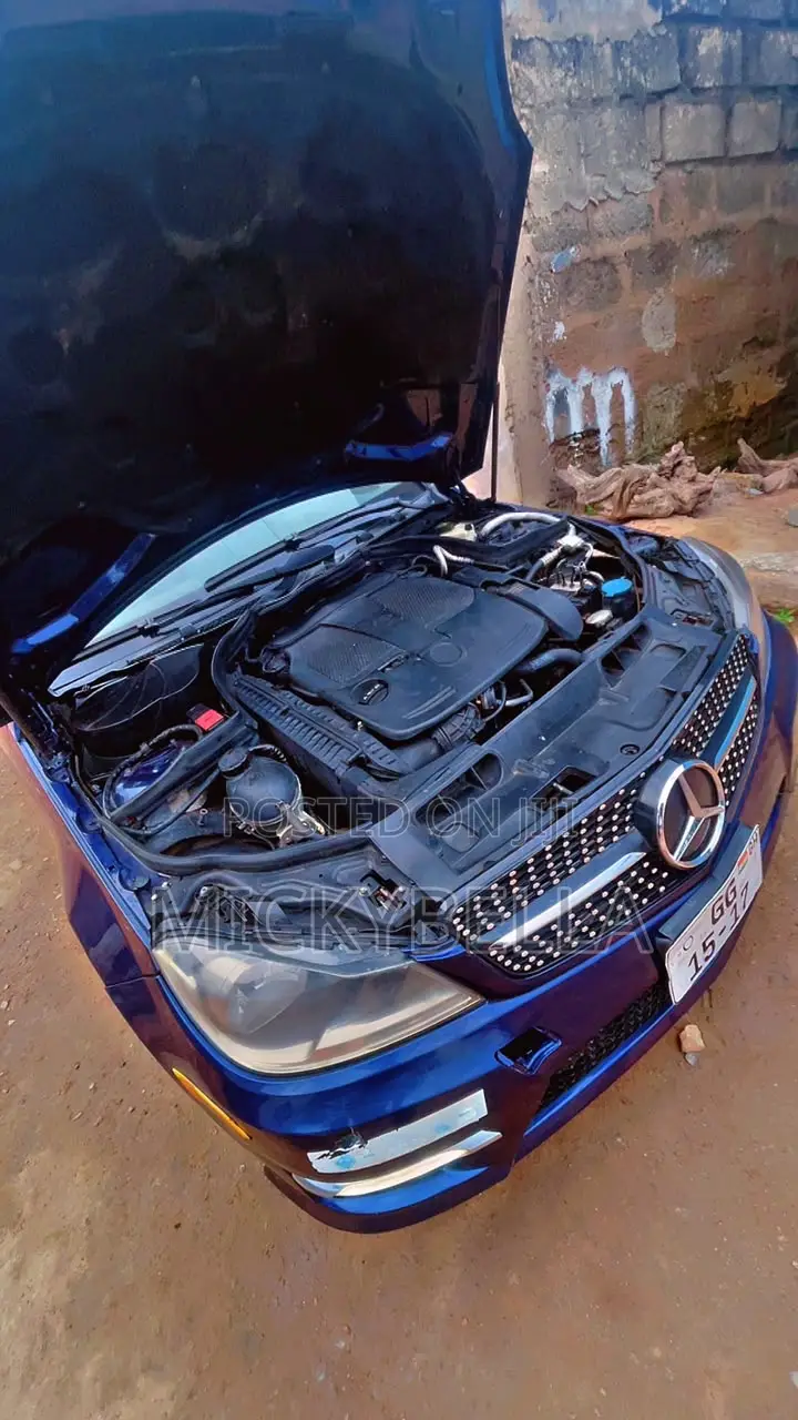 Mercedes-Benz C300 2014 Blue