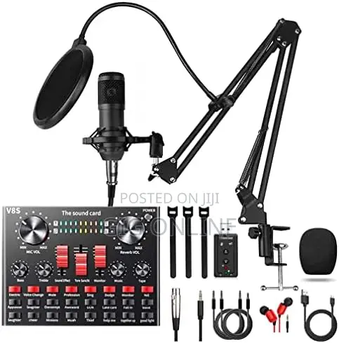 Professional Condenser Microphone