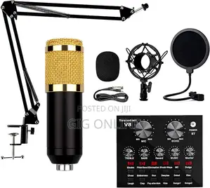 Professional Condenser Microphone