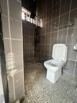 2bdrm Apartment in Burma Camp for rent