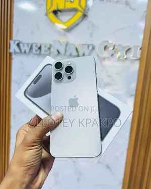 Apple iPhone 15 Pro Max 256 GB Silver