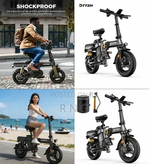 Electric Bike