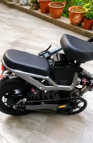 Electric Bike