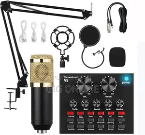 Professional Recording Condenser Microphone