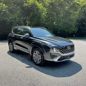 2021,2022,2023,2024 Fromt Bumper for Hyundai Santafe