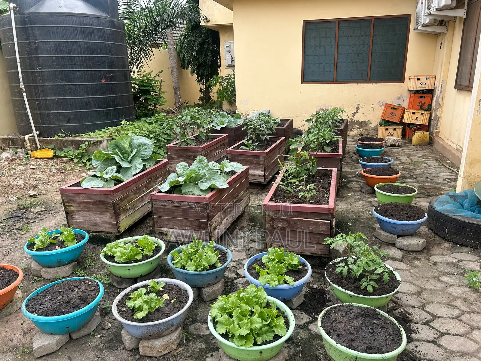 Backyard Vegetables Garden
