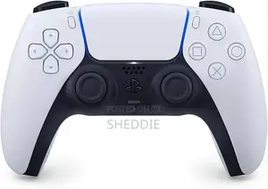 PS5 Controller