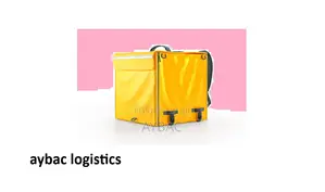 Bicycle Insulated Delivery Bag Rental – Only GHS 5/Day