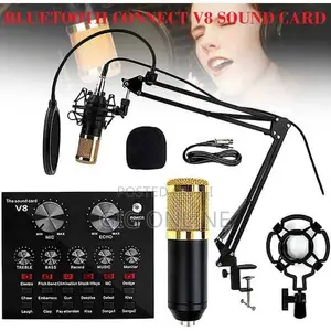 Studio Condenser Microphone