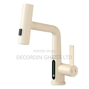 Pull-Out Faucet (Bathroom Tap)