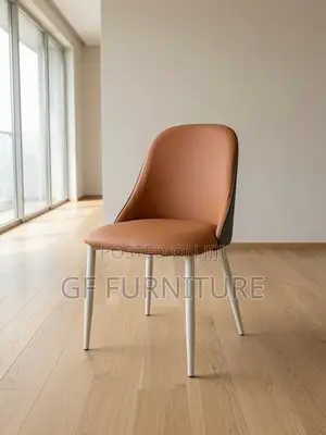 Dining/Balcony Chairs
