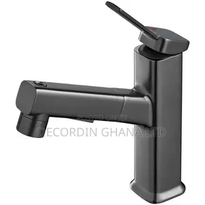 Bathroom Tap (Pull-Out Faucet)