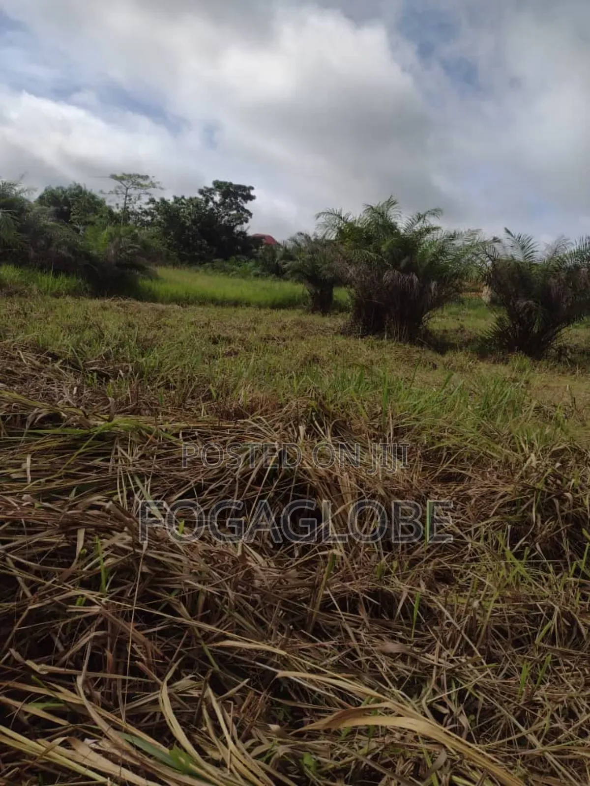Residential Land