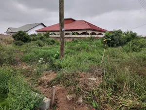 100x80ft Plot at Tema Comm 24 Palm Ridge Estate for Sale