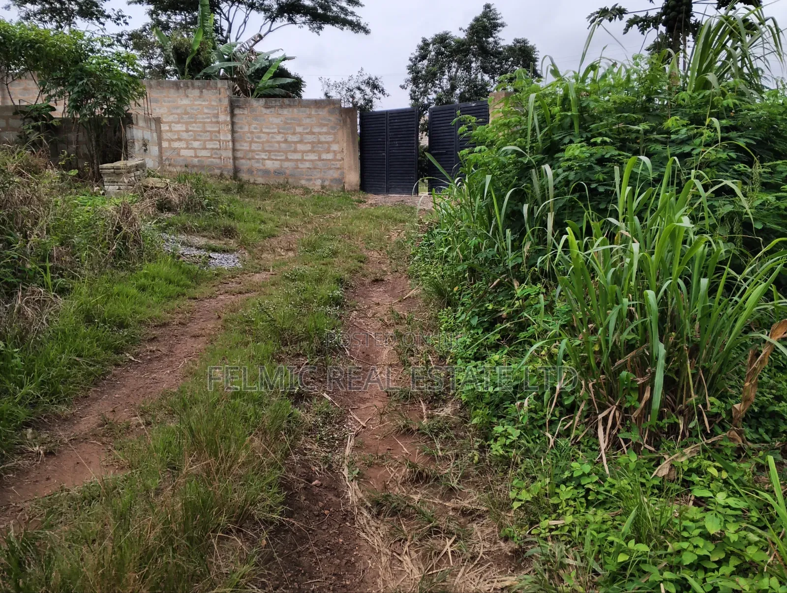 3 Plots of Land at Aburi Tutu for Sale