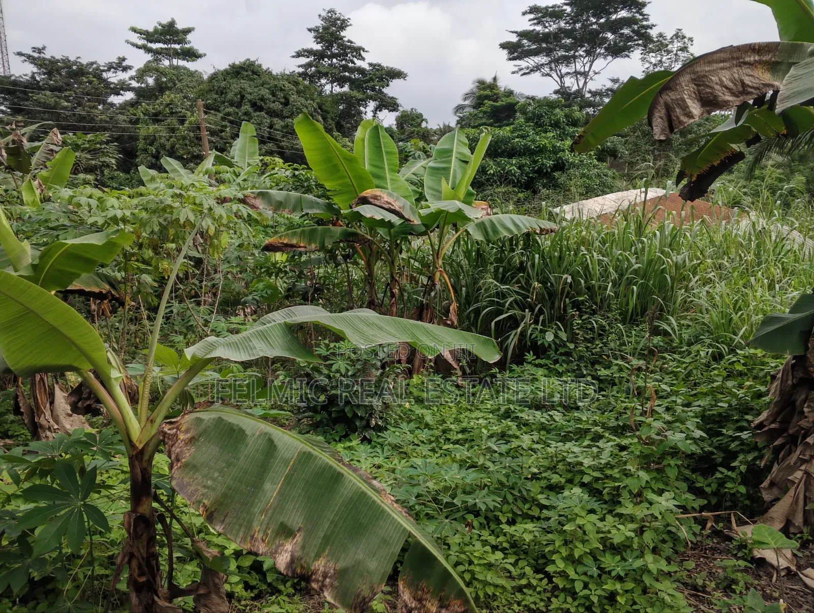 3 Plots of Land at Aburi Tutu for Sale