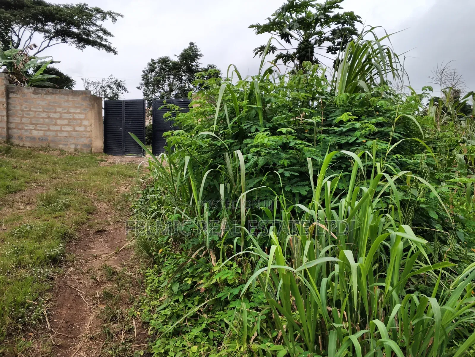 3 Plots of Land at Aburi Tutu for Sale