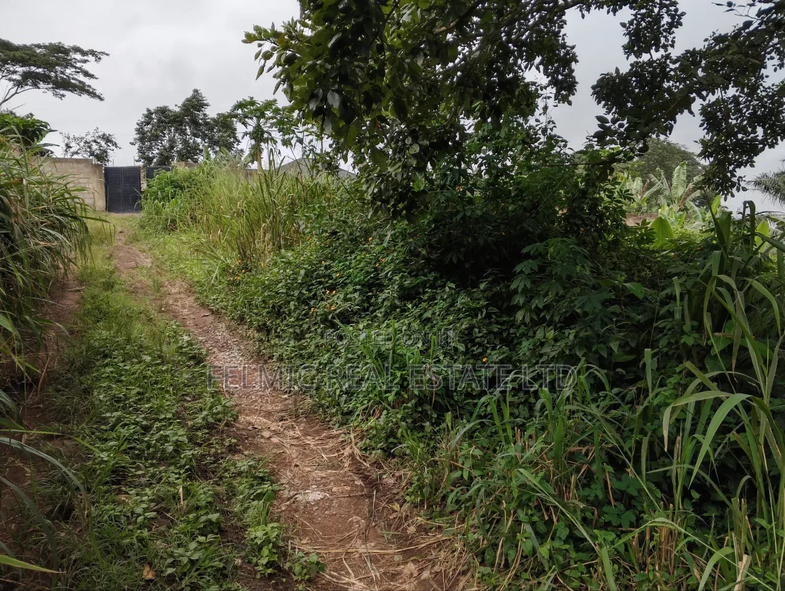 3 Plots of Land at Aburi Tutu for Sale