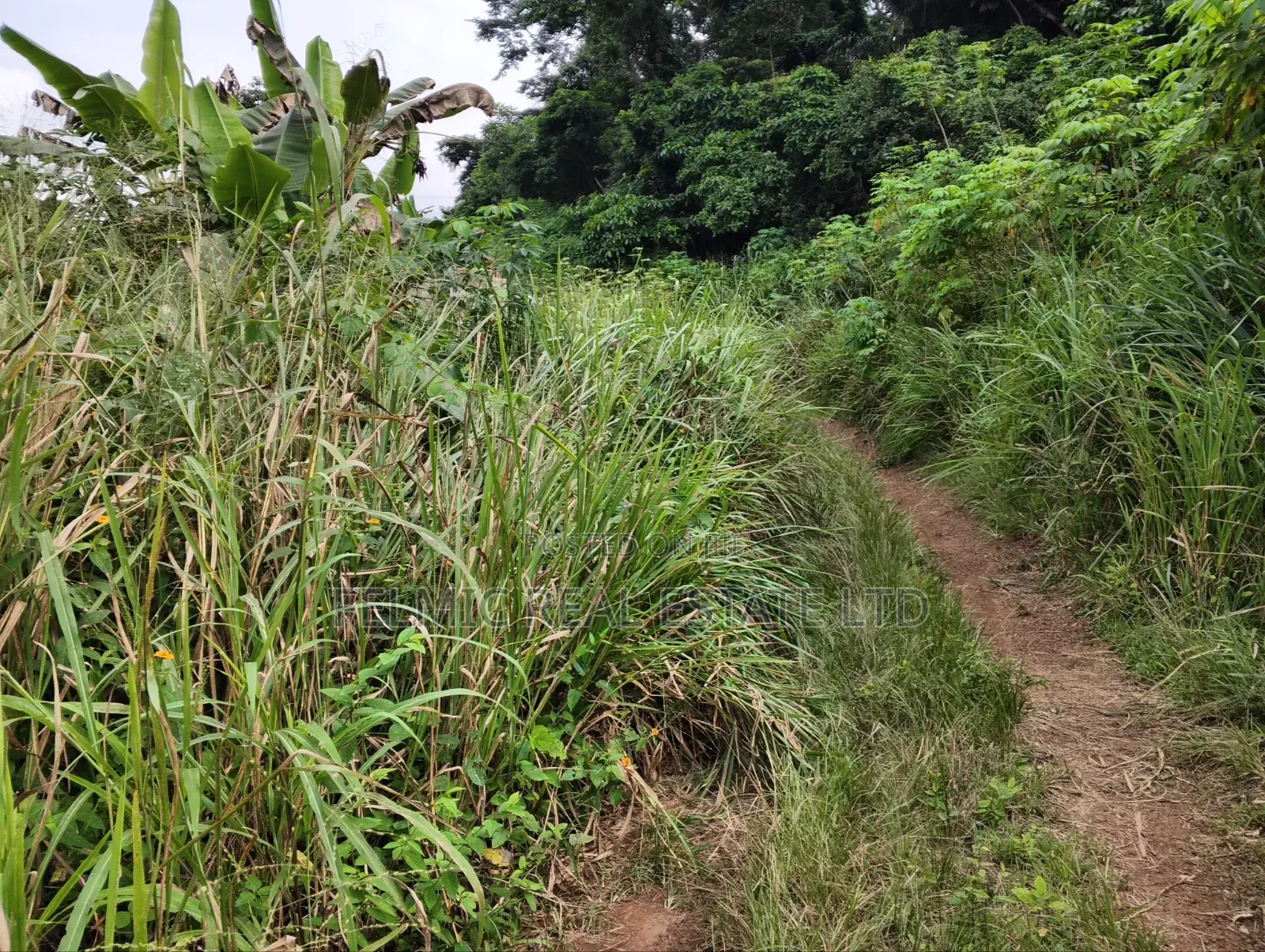 3 Plots of Land at Aburi Tutu for Sale