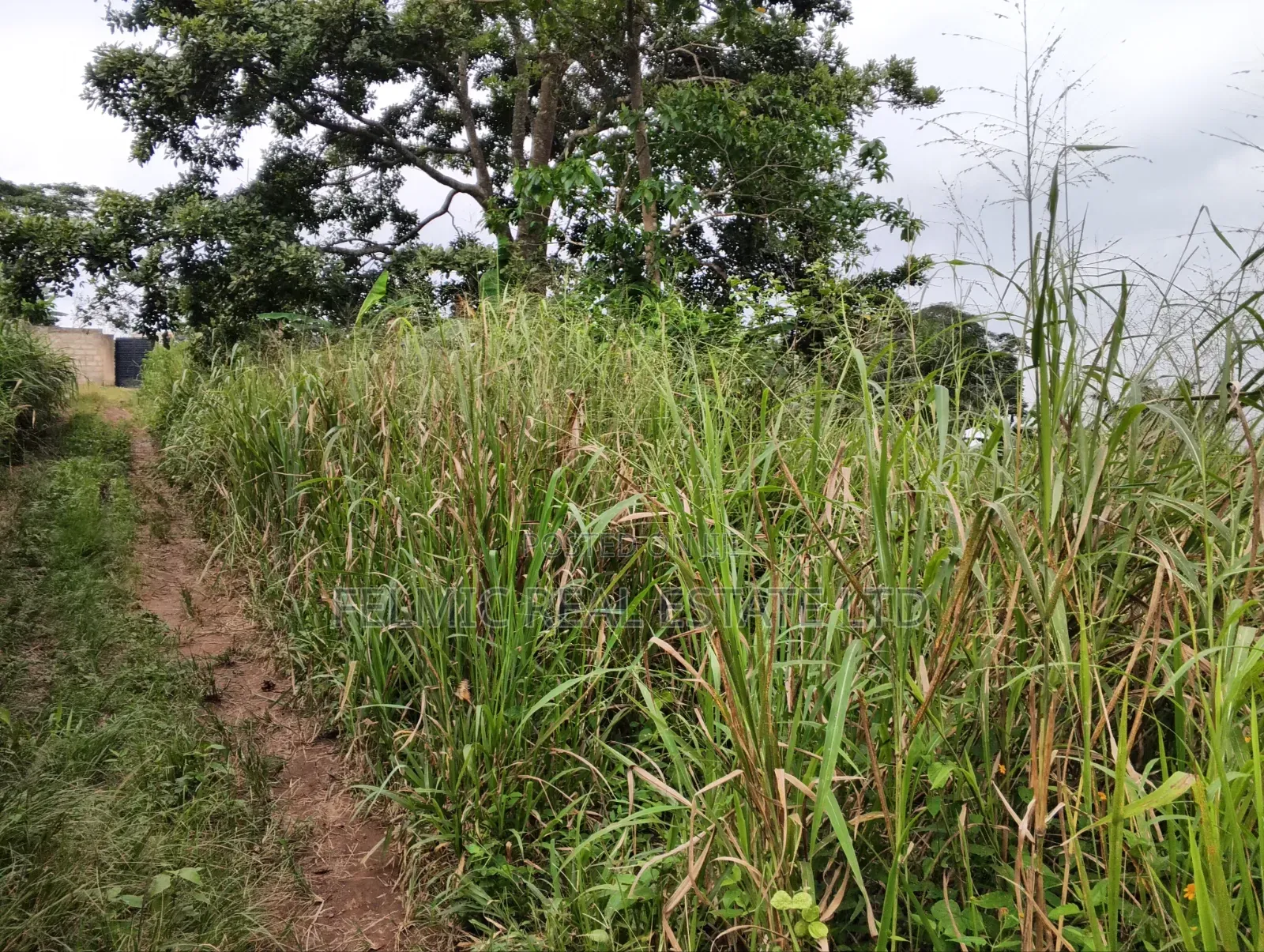 3 Plots of Land at Aburi Tutu for Sale