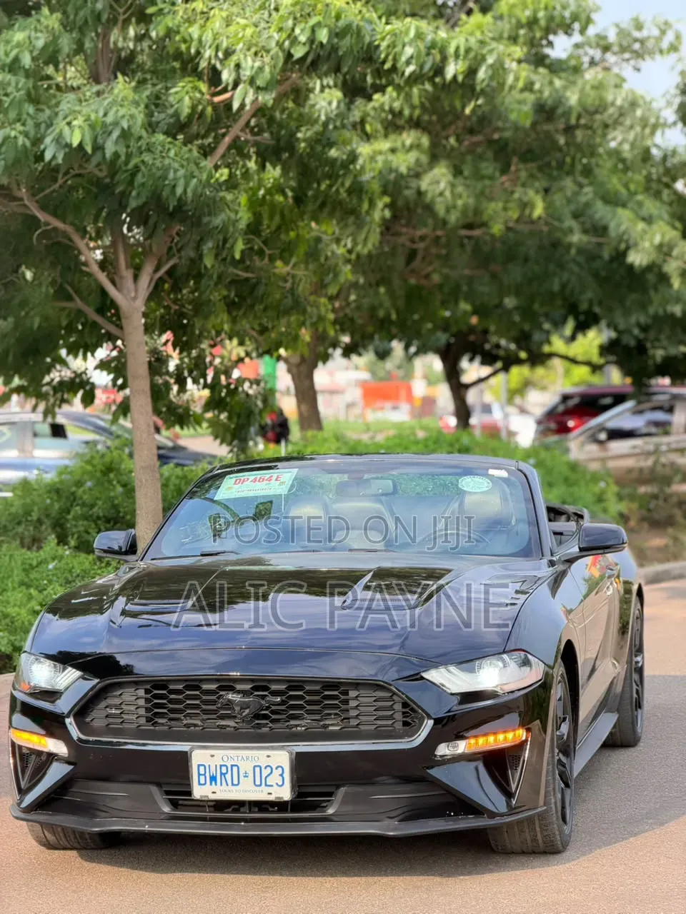 Ford Mustang EcoBoost Premium Convertible 2019 Black