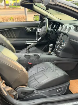 Ford Mustang EcoBoost Premium Convertible 2019 Black