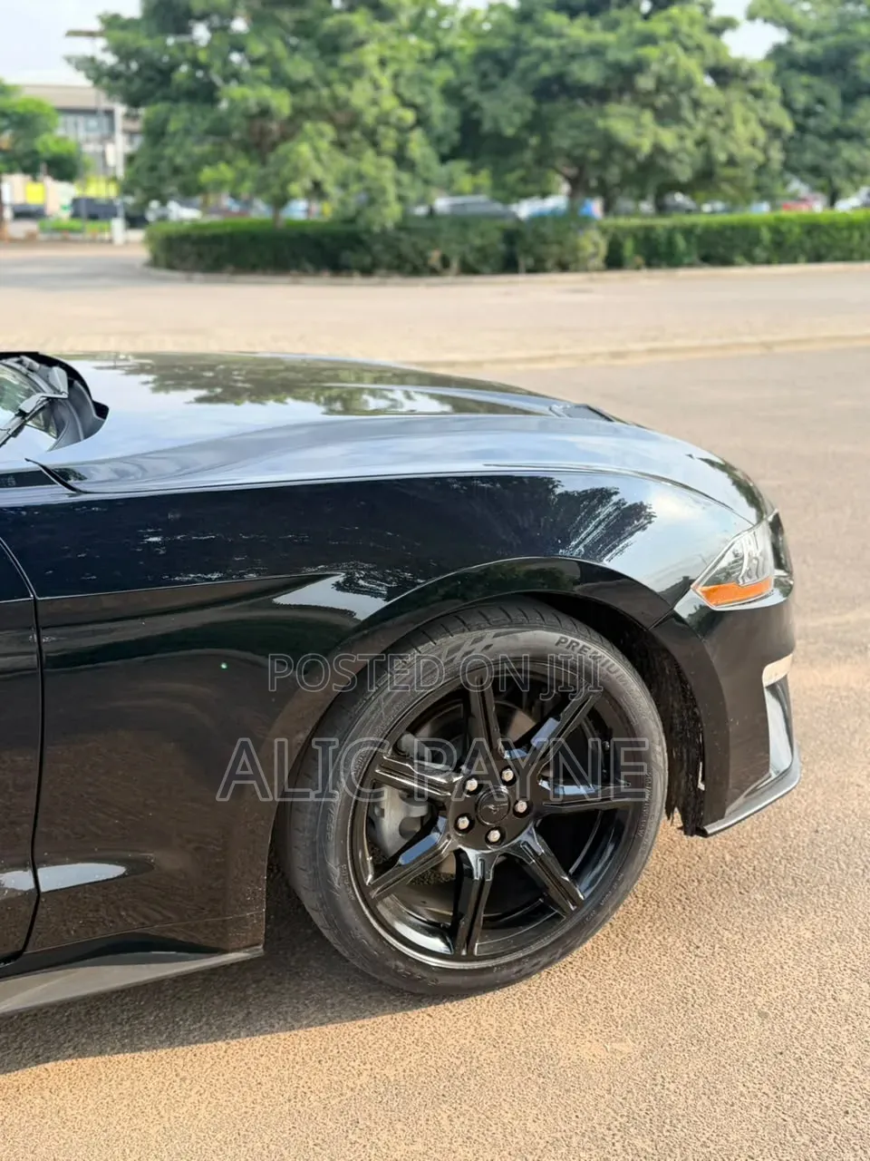 Ford Mustang EcoBoost Premium Convertible 2019 Black