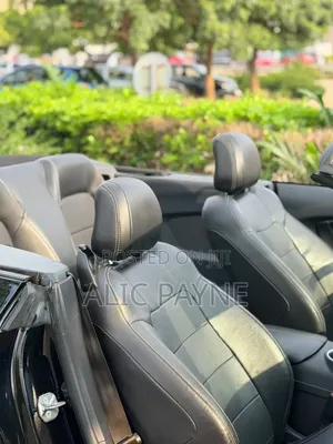 Ford Mustang EcoBoost Premium Convertible 2019 Black