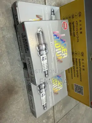 NGK Spark Plugs
