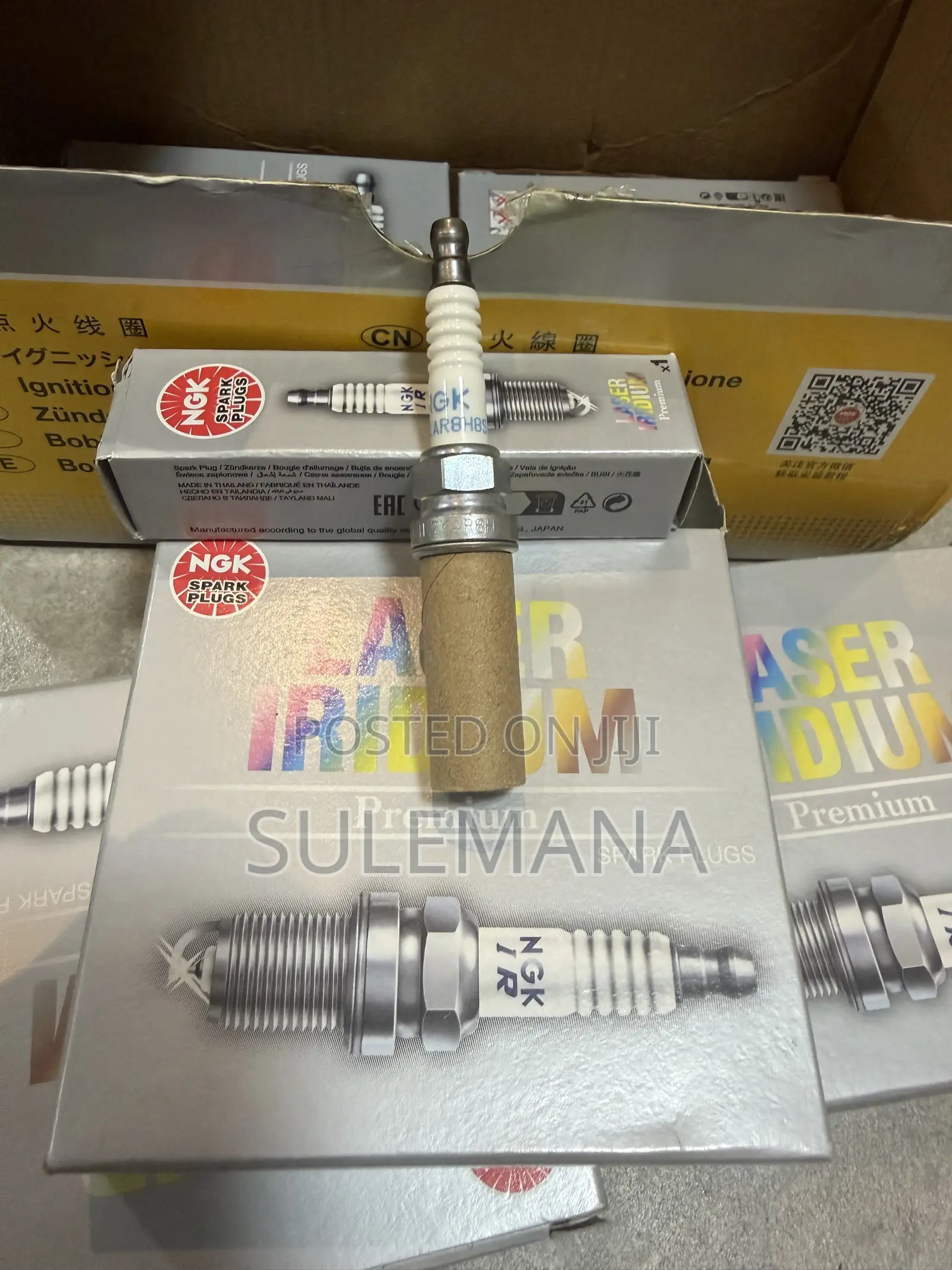 NGK Spark Plugs