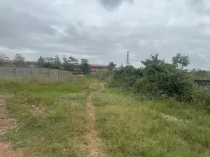 5 Plots of Land LAND FOR SALE – DODOWA/AFIENYA AREA