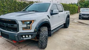 Ford F-150 Raptor 4x4 SuperCab Styleside 5.5 ft. box 133 in. WB 2019