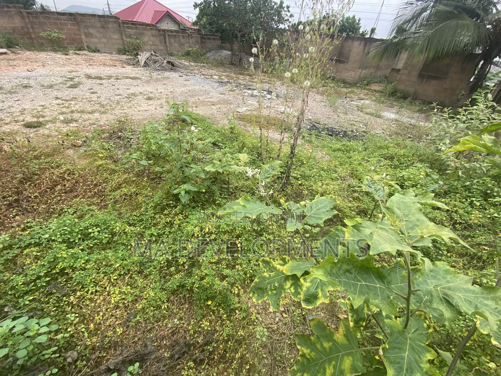 One Plot of Land With 4 Bedroom Structure for Sale at Ofankor 7 Days