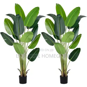 Faux Banana Plant Available in 160cm and 180cm